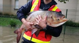 Η ΦΩΤΟ από την πλημμυρισμένη Γαλλία που έγινε viral
