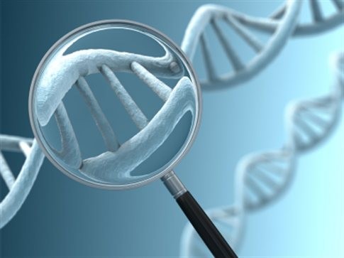 Σκλήρυνση κατά πλάκας: Εντοπίστηκε το γονίδιο