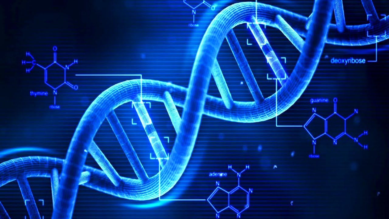 Αποκαλυπτική έρευνα-Υπάρχει μεταθανάτια ζωή του… DNA