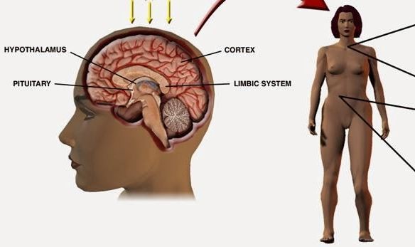 Έρευνα: Ποια χαρακτηριστικά της προσωπικότητας αλλάζουν όταν… παχαίνουμε