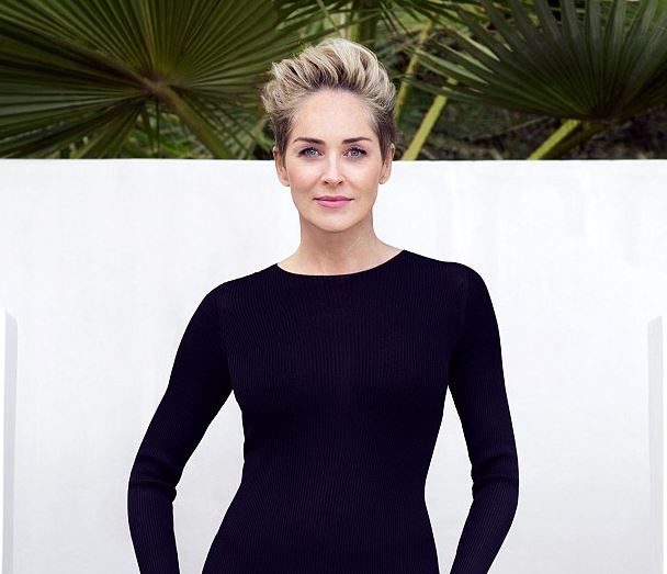 Σάρον Στόουν: Δεν με ενδιαφέρει να κάνω σεξ με έναν άγνωστο