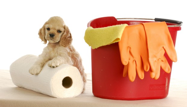 4 πράγματα που δεν πρέπει ποτέ να καθαρίσετε με χαρτί κουζίνας