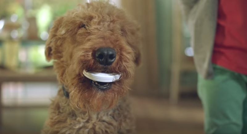 Η Lemmy που παίζει σε όλες τις διαφημίσεις – ΒΙΝΤΕΟ