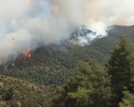 Ανεξέλεγκτη μαίνεται η πυρκαγιά στα Δερβενοχώρια