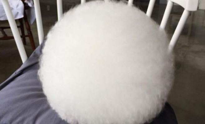 Η άσπρη “μπάλα” που δίχασε το διαδίκτυο – Μπορείτε να βρείτε τι είναι; – ΦΩΤΟ