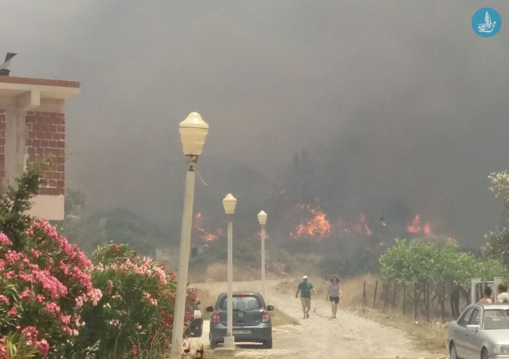 Από σπινθήρα θεριστικής μηχανής η φωτιά στη Ρόδο