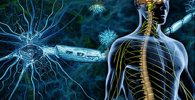 Η παχυσαρκία συνδέεται με αυξημένο κίνδυνο για πολλαπλή σκλήρυνση