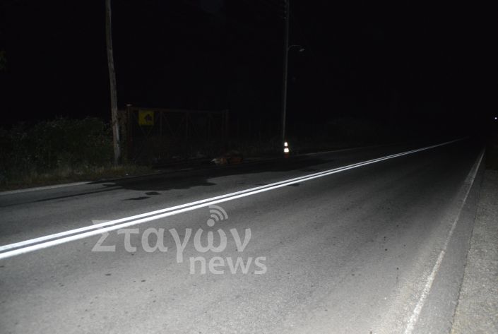 Ι.Χ. συγκρούστηκε με άλογο στην Ε.Ο. Καλαμπάκας – Ιωαννίνων