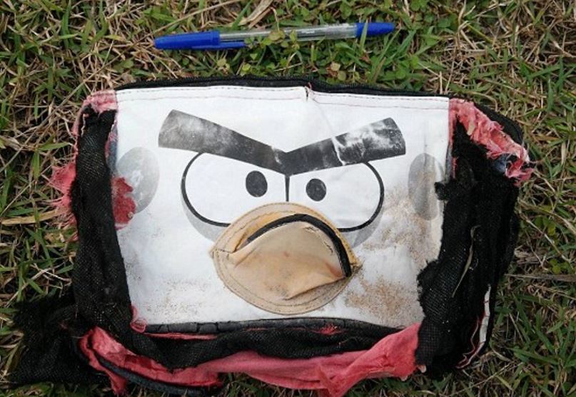 Βρέθηκαν αποσκευές στη Μαδαγασκάρη – Ανήκουν στους επιβάτες της πτήσης MH370;