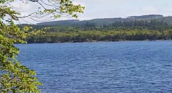 Νέο ΒΙΝΤΕΟ με… περίεργους σχηματισμούς στην επιφάνεια της λίμνης του Λοχ Νες