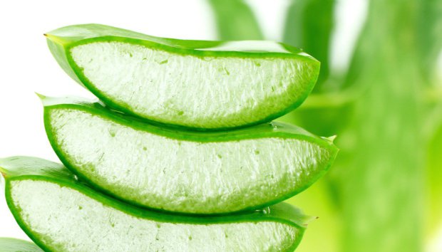 9 χρήσεις της αλόης που θα σας εκπλήξουν