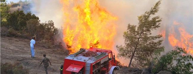 Φωτιά στην Κνωσό – Ισχυροί άνεμοι στην περιοχή