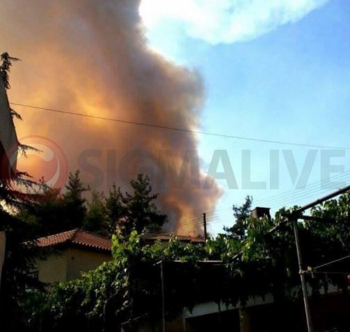 Κινδύνεψαν σπίτια από την πυρκαγιά στην Κύπρο – Έτοιμη να βοηθήσει δηλώνει η Τουρκία – BINTEO