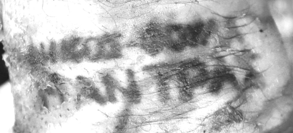 Ταυτοποιήθηκε το θύμα της φρικιαστικής δολοφονίας στα Λιμανάκια