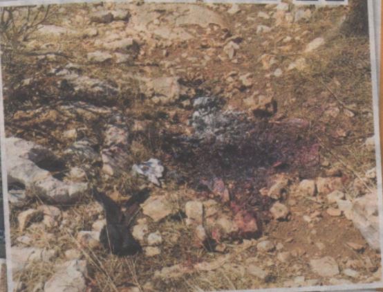 Σοκάρουν οι λεπτομέρειες του εγκλήματος στα Λιμανάκια