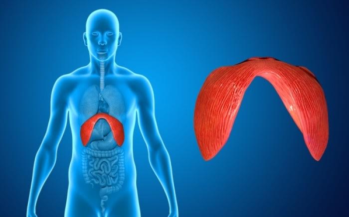 Λαπαροσκοπική αποκατάσταση διαφραγματοκήλης