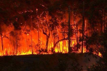 Φωτιά στο Δρέπανο Αχαΐας