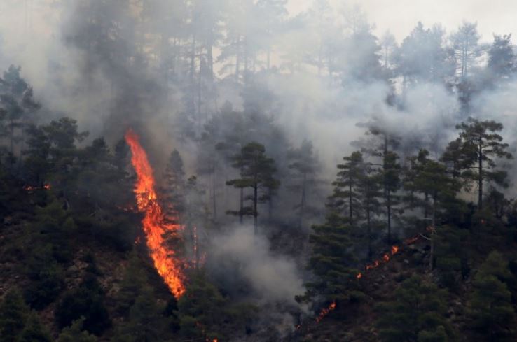 Συγκρατημένη αισιοδοξία για έλεγχο της πυρκαγιάς στην Κύπρο
