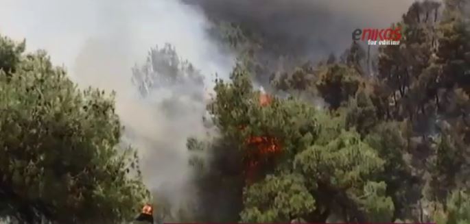 Έντονη η μυρωδιά του καμένου στην Αττική – Μαίνεται η φωτιά στα Δερβενοχώρια – ΒΙΝΤΕΟ