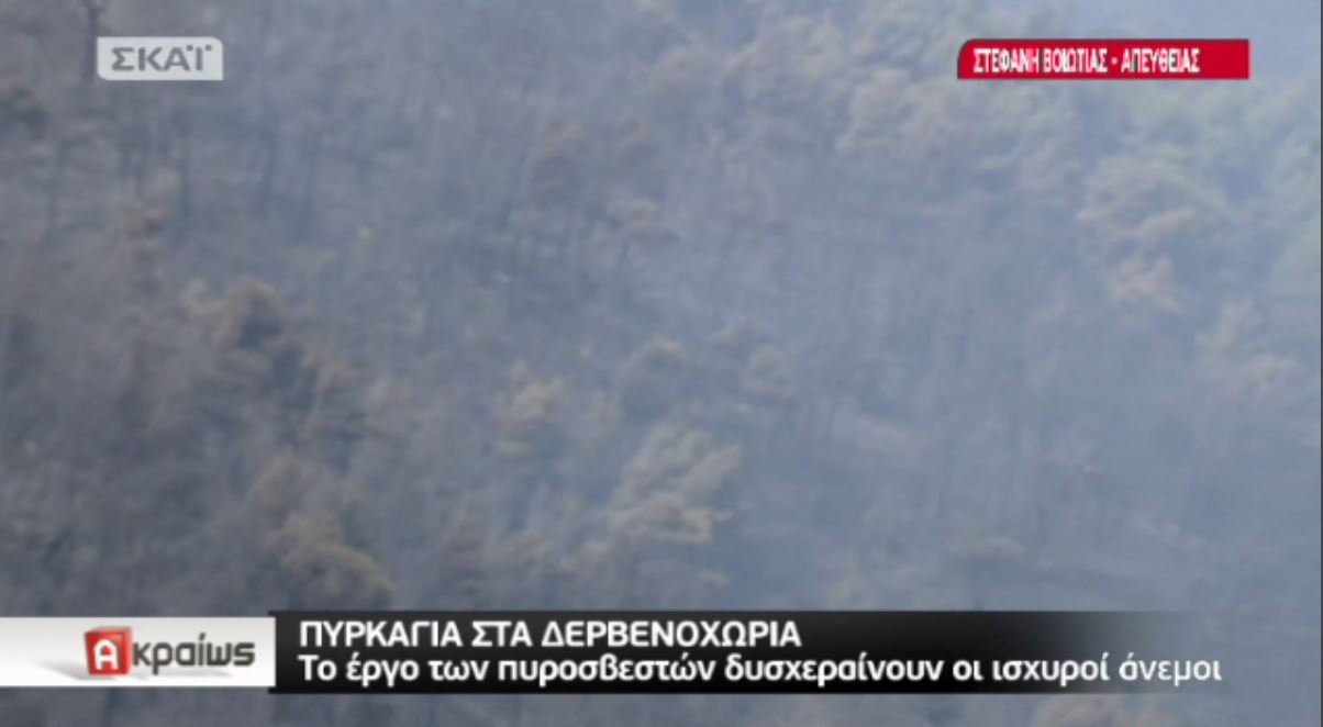Μαίνεται η μεγάλη φωτιά στα Δερβενοχώρια – ΒΙΝΤΕΟ