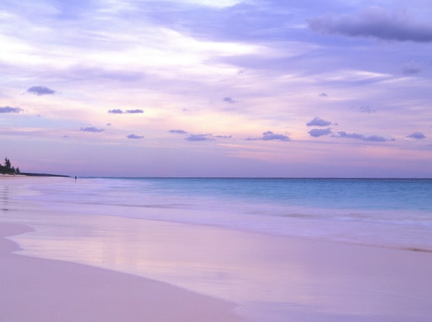Pink Sands: Harbor Island, Bahamas