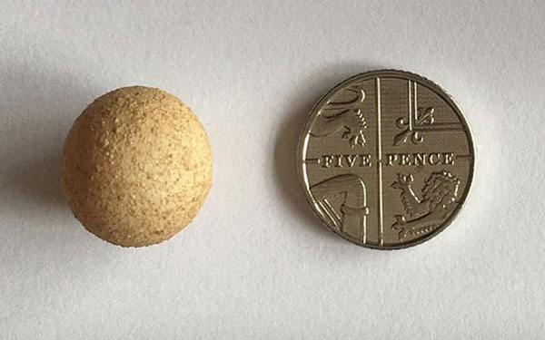 perierga.gr - Πόσο μικρό είναι το μικρότερο αυγό στον κόσμο!