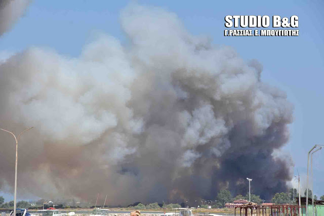 Πυρκαγιά στο Ναύπλιο – ΦΩΤΟ – ΒΙΝΤΕΟ