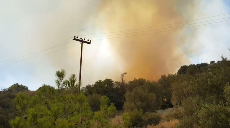 Πυρκαγιά στον Άγιο Νικόλαο Κρήτης – ΒΙΝΤΕΟ