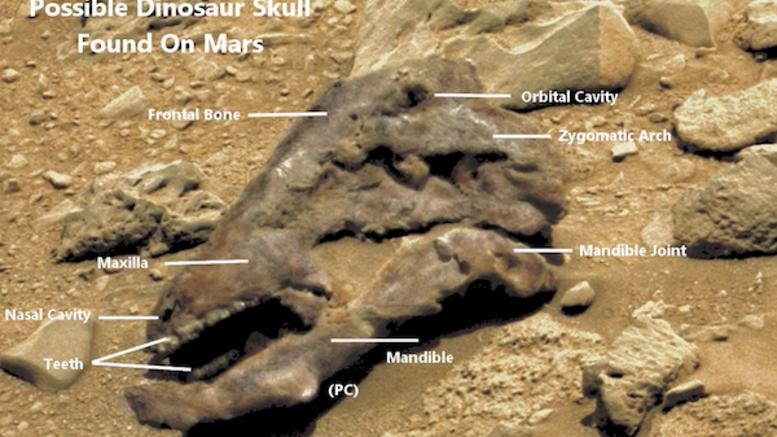 Οπτική ψευδαίσθηση το “κρανίο δεινοσαύρου” στον πλανήτη Άρη;