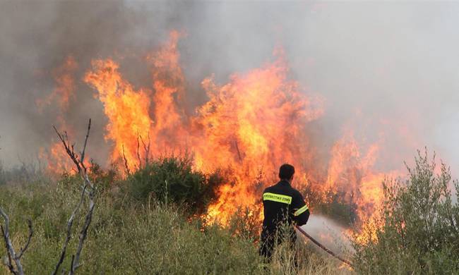 Φωτιές στη Χαλκιδική, τη Θεσσαλονίκη και τη Λακωνία