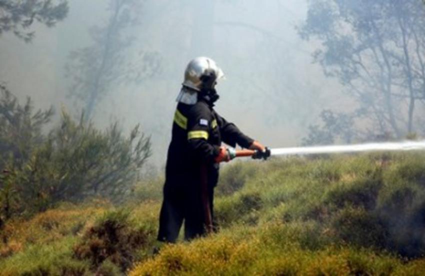 Υπό έλεγχο η φωτιά στη Μονεμβασιά