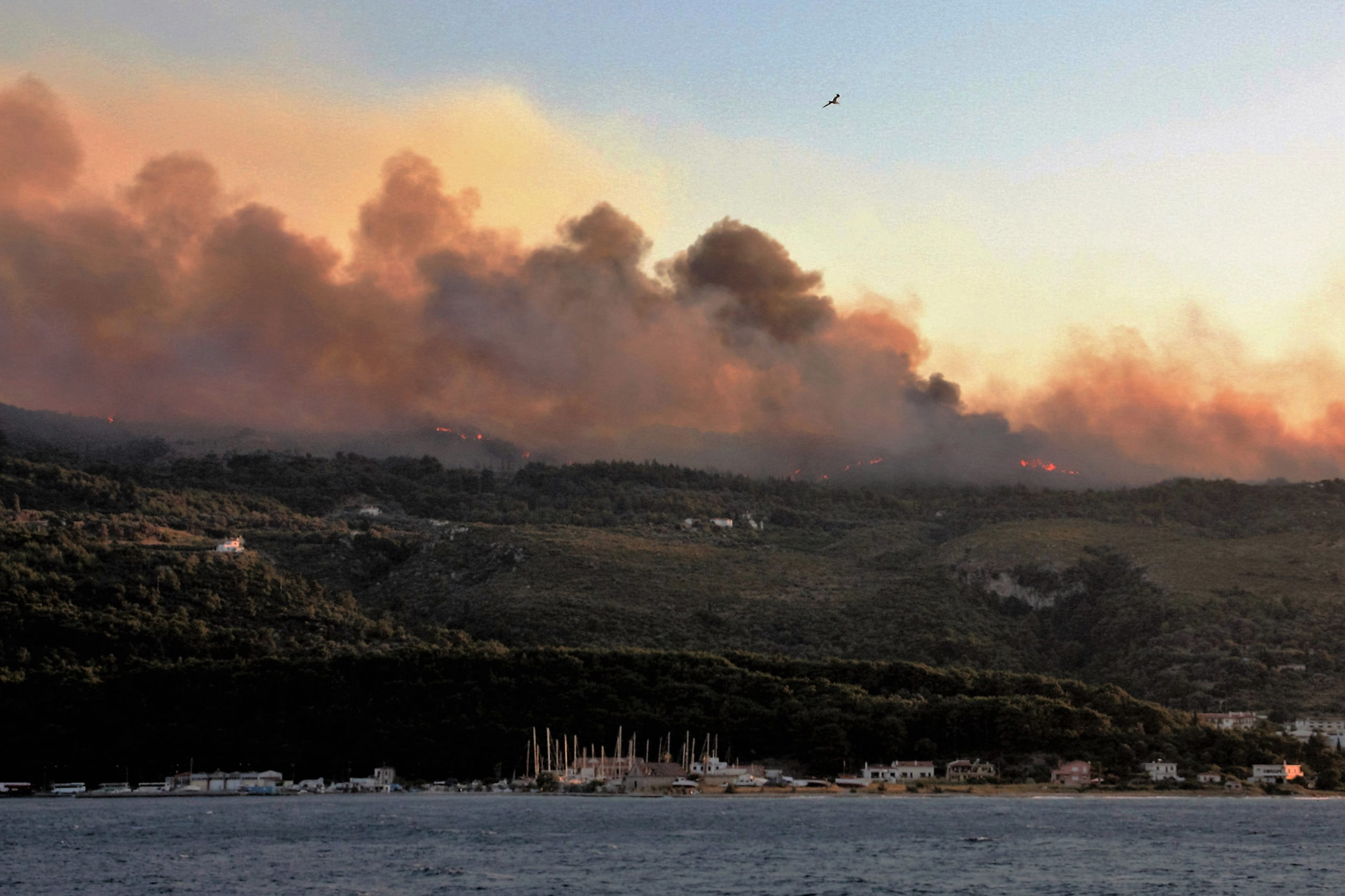 O δήμαρχος Σάμου για τη φωτιά: Ζήσαμε μια εφιαλτική μέρα – ΒΙΝΤΕΟ