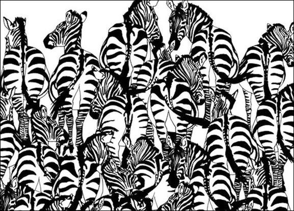 Tο νέο κουίζ που έχει γίνει viral – Μπορείτε να βρείτε τον ασβό; – ΦΩΤΟ