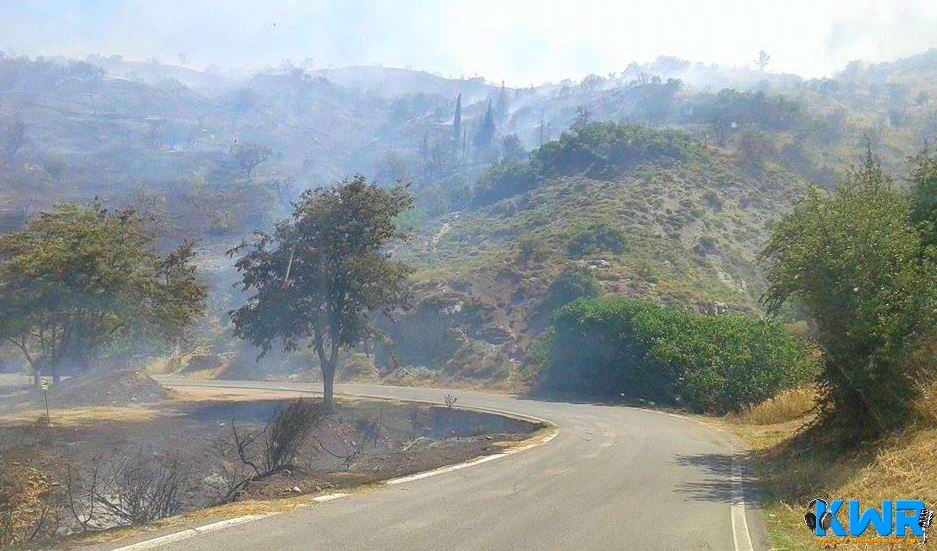 Υπό μερικό έλεγχο η φωτιά στην Κυνουρία – Στάχτη 150 στρέμματα δάσους