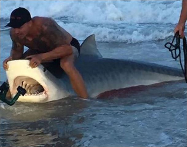 Ο ατρόμητος άνδρας που έπιασε καρχαρία με τα χέρια του – ΒΙΝΤΕΟ