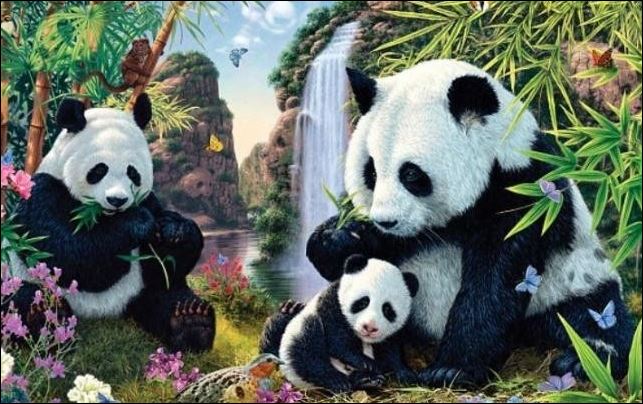 Το τεστ που έγινε viral – Μπορείτε να βρείτε τα 15 πάντα;