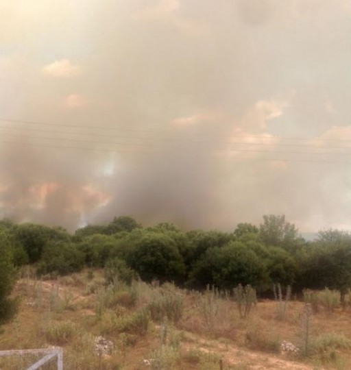 Υπό μερικό έλεγχο η πυρκαγιά στο Νεοχώρι Ζίτσας