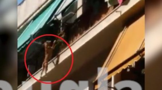 Εισαγγελική παρέμβαση για τον αναίσθητο που πέταξε το σκυλάκι από τον 3ο όροφο στην πλατεία Αμερικής