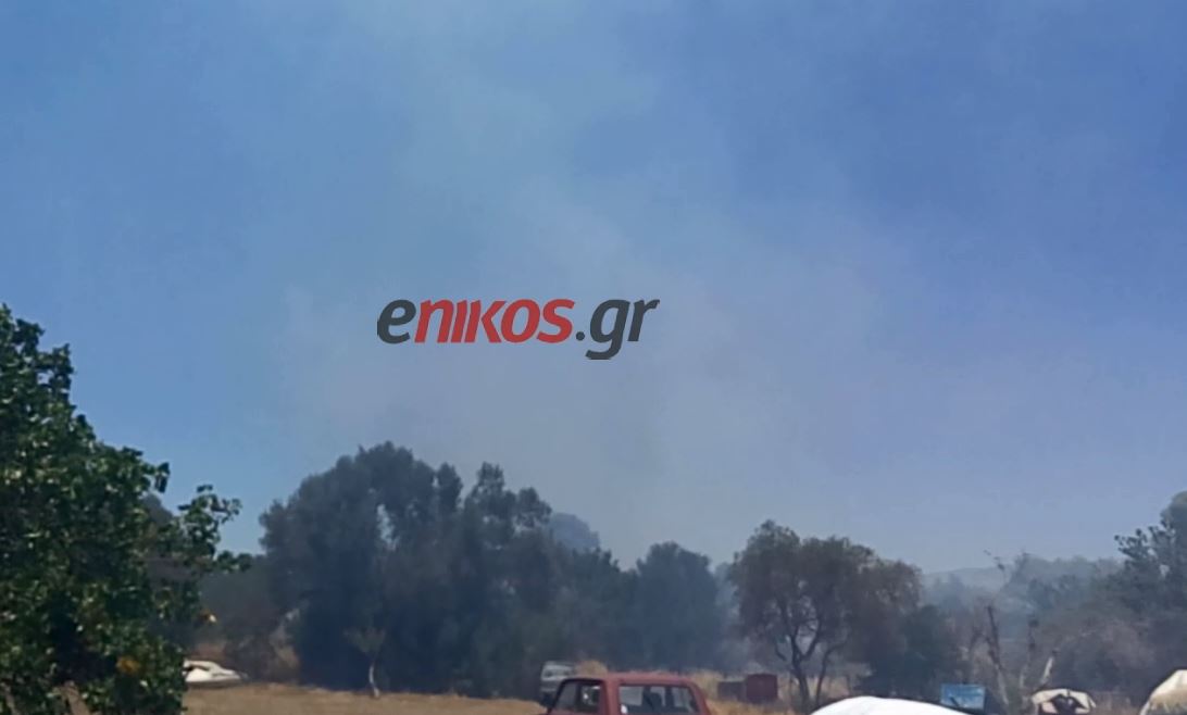Οι πρώτες εικόνες από τη φωτιά στο Μαρούσι – ΒΙΝΤΕΟ