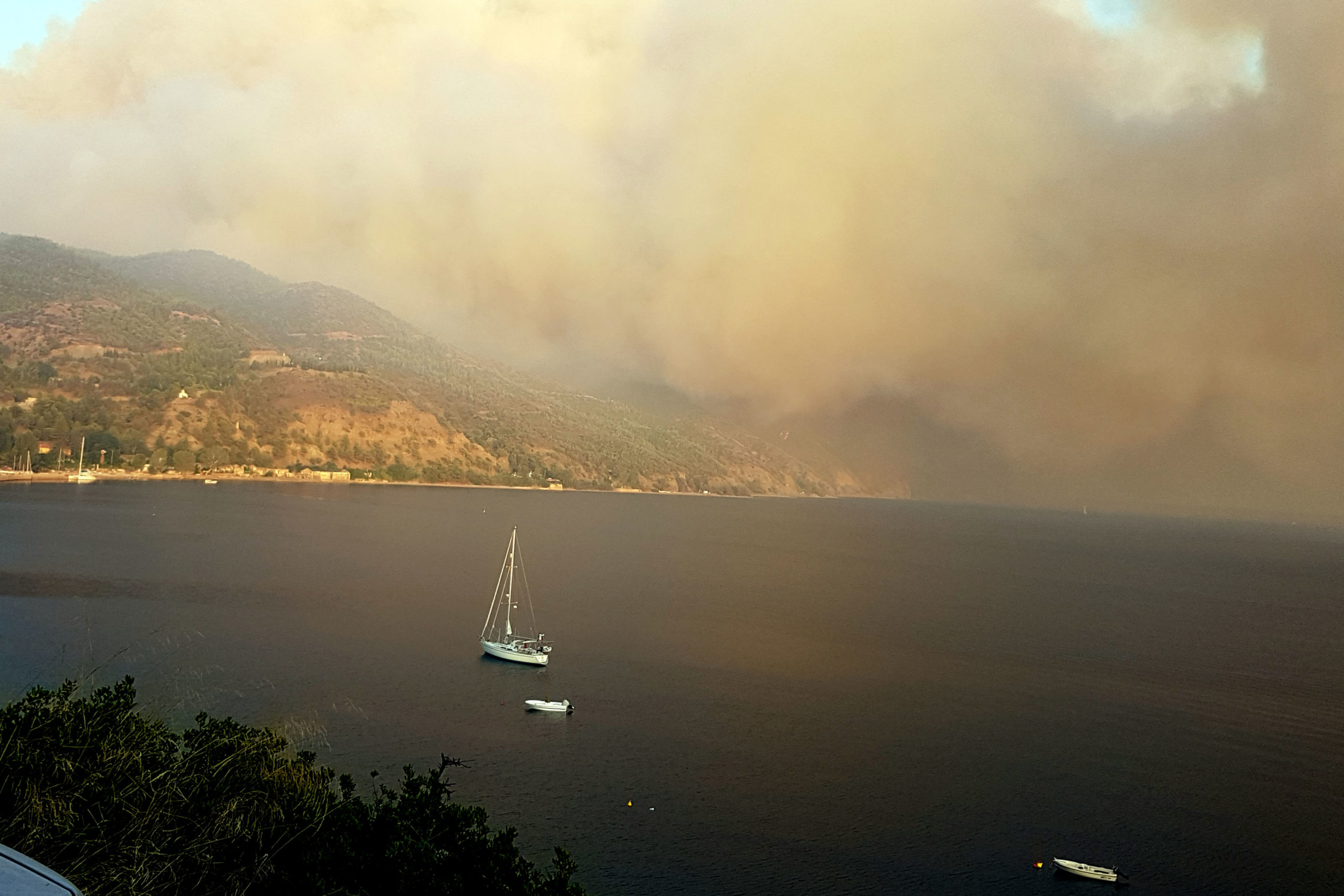 Αποστόλου: Άμεσες αποζημιώσεις για τους παραγωγούς ρητίνης – Υπό έλεγχο η φωτιά στην Εύβοια – ΦΩΤΟ