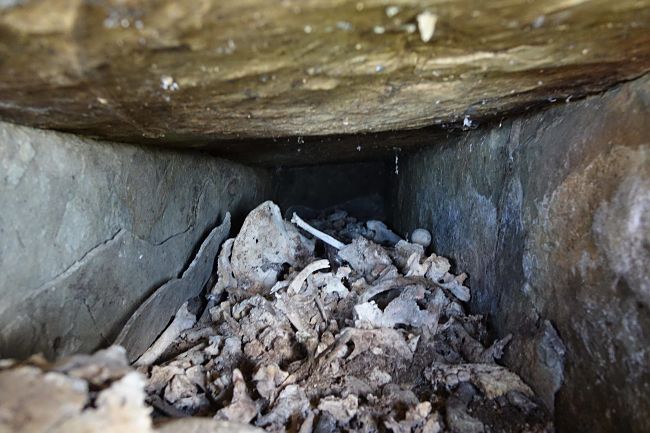 Ασύλητο βυζαντινό τάφο δίπλα σε γήπεδο μπάσκετ εντόπισαν νεαροί στο Ζαγόρι – ΦΩΤΟ