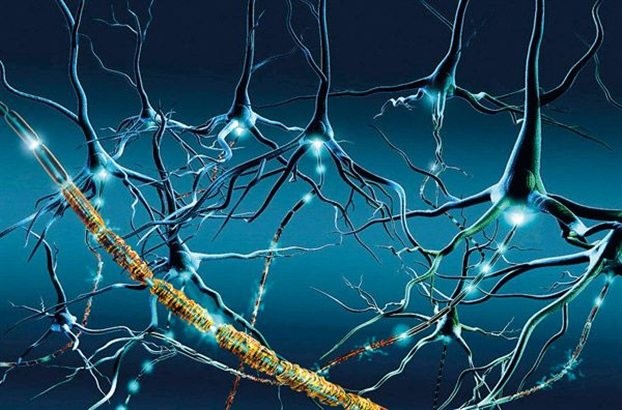 Σκλήρυνση κατά πλάκας: Γιατί είναι πιο συχνή στις γυναίκες