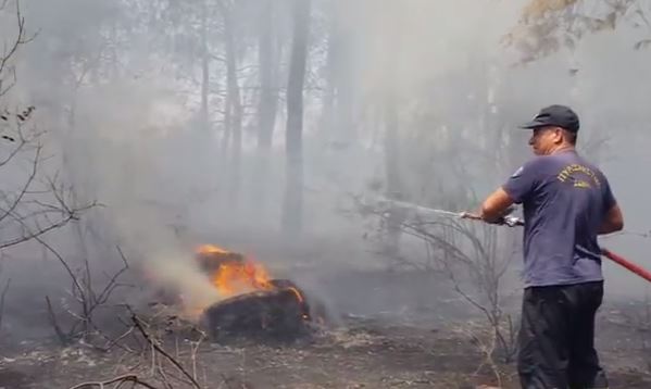 Πυροσβέστες και πρόσφυγες έσβησαν φωτιά στις Θερμοπύλες – ΦΩΤΟ – ΒΙΝΤΕΟ