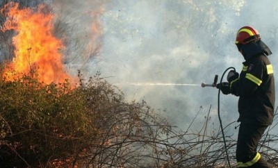 Υπό μερικό έλεγχο η φωτιά στο Προσήλιο Μάνης