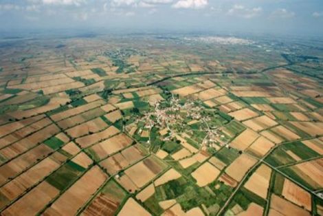 Εκτός συμπληρωματικού ΕΝΦΙΑ τα αγροτεμάχια