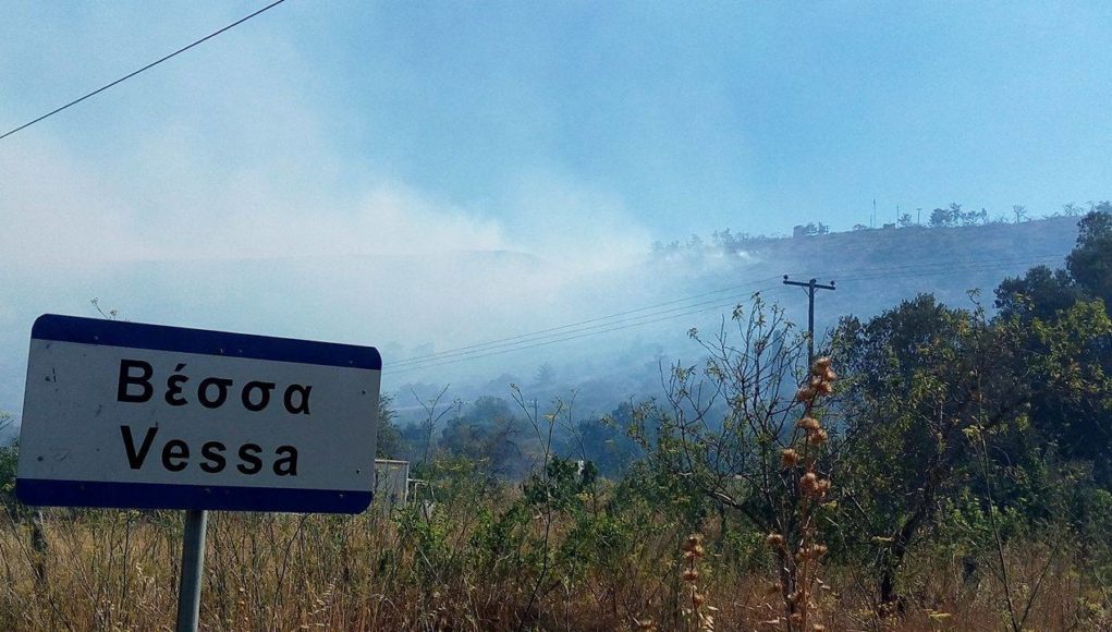 Η επόμενη ημέρα μετά την καταστροφή στη Χίο – Χιλιάδες καμένα μαστιχόδεντρα