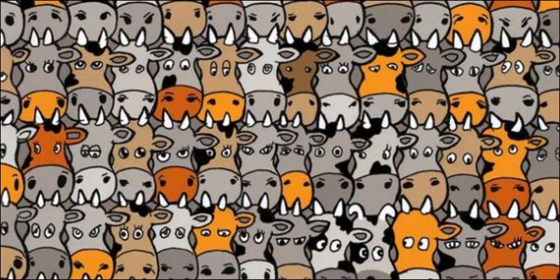 Tο νέο κουίζ που έχει γίνει viral – Μπορείτε να βρείτε τον σκύλο; – ΦΩΤΟ