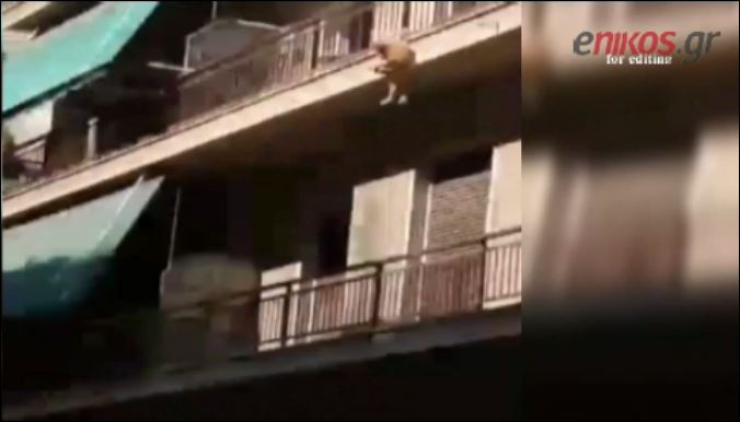 Τι λέει ο άνδρας που πέταξε το σκυλί από τον 3ο όροφο – ΒΙΝΤΕΟ