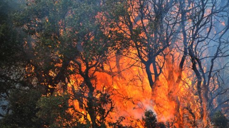 Κόρινθος – Υπό έλεγχο η φωτιά στο Χαλκί