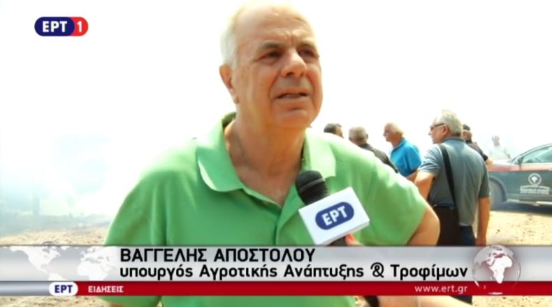 Αποστόλου: Όλος ο μηχανισμός πυρόσβεσης συγκεντρώνεται στη Βόρεια Εύβοια
